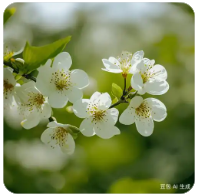 老王论坛VIP账号共享