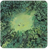 老王论坛账号购买