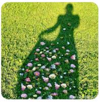 老王论坛账号购买