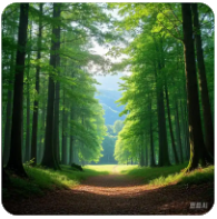 第一会所账号永久VIP 