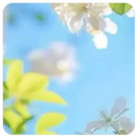 X1080X 高清论坛会员 